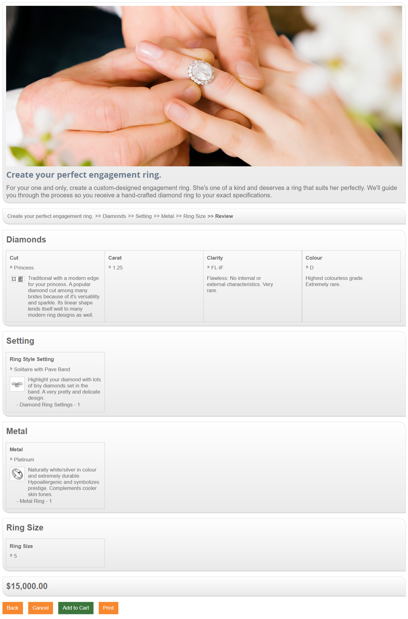 Microsoft Dynamics Business Central / NAV Configurator Summary Page